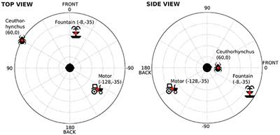 Spatial Cues Provided by Sound Improve Postural Stabilization: Evidence of a Spatial Auditory Map?